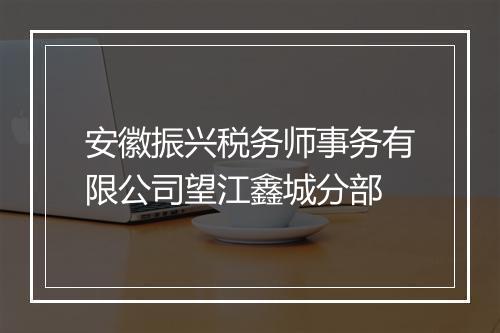 安徽振兴税务师事务有限公司望江鑫城分部