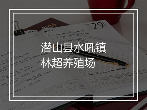潜山县水吼镇林超养殖场