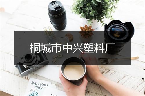 桐城市中兴塑料厂