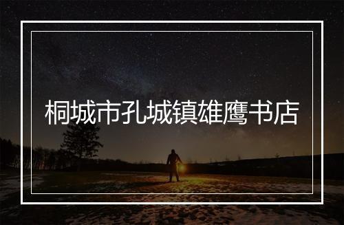 桐城市孔城镇雄鹰书店