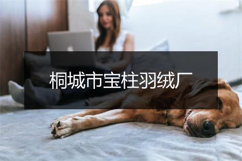 桐城市宝柱羽绒厂