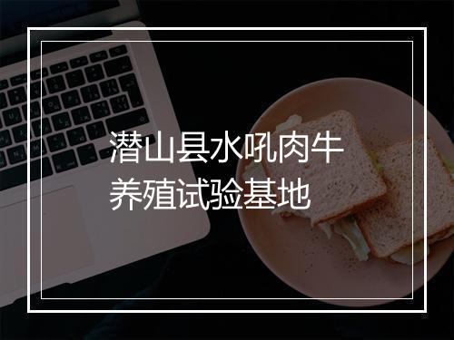 潜山县水吼肉牛养殖试验基地