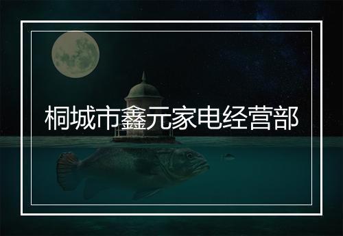 桐城市鑫元家电经营部