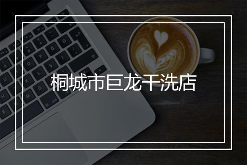 桐城市巨龙干洗店