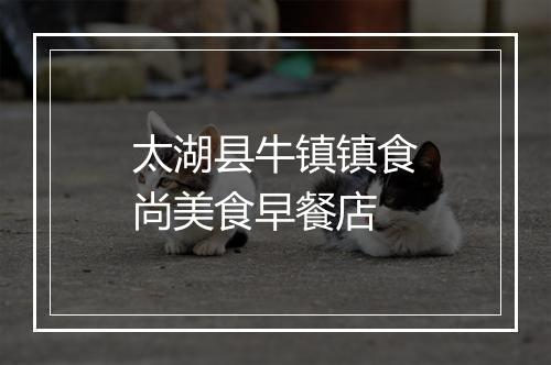 太湖县牛镇镇食尚美食早餐店