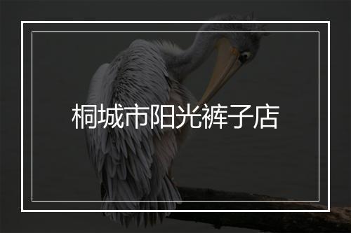 桐城市阳光裤子店