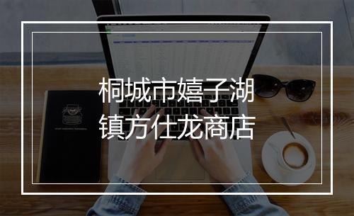 桐城市嬉子湖镇方仕龙商店