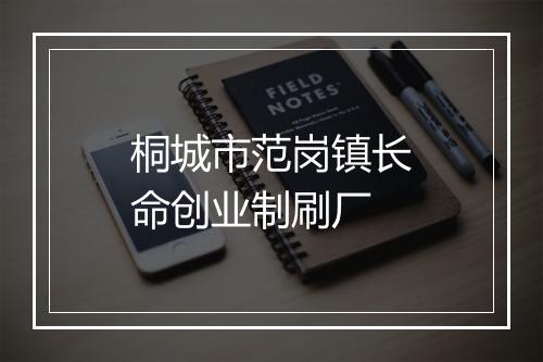 桐城市范岗镇长命创业制刷厂