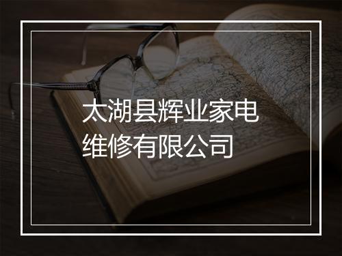 太湖县辉业家电维修有限公司