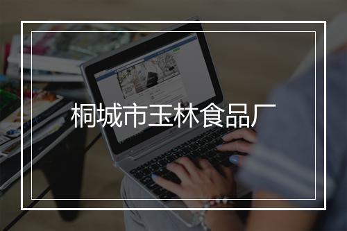 桐城市玉林食品厂