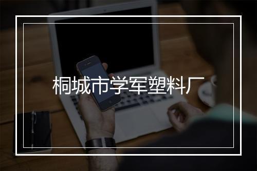 桐城市学军塑料厂