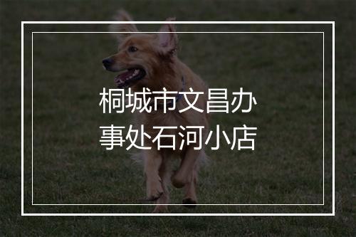 桐城市文昌办事处石河小店