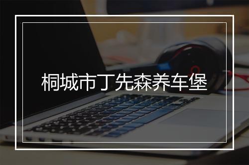 桐城市丁先森养车堡