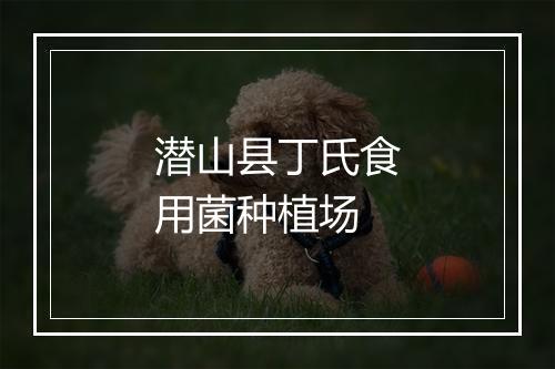 潜山县丁氏食用菌种植场