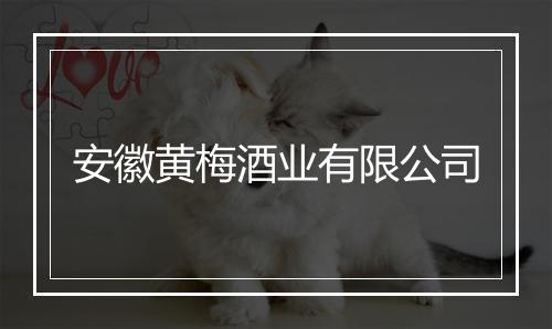 安徽黄梅酒业有限公司