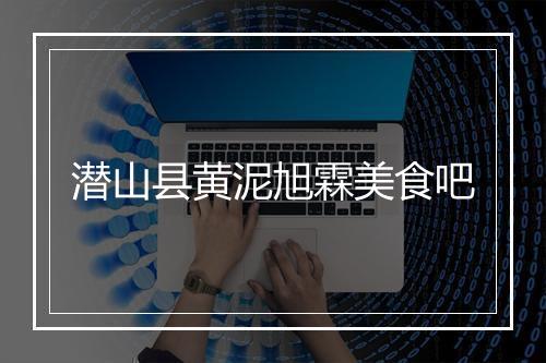 潜山县黄泥旭霖美食吧