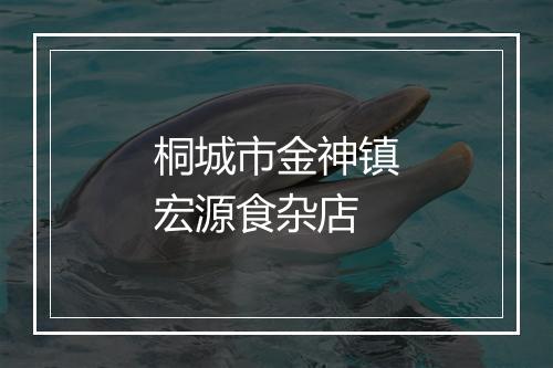 桐城市金神镇宏源食杂店