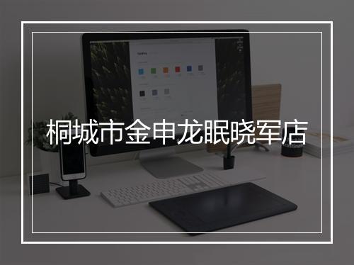 桐城市金申龙眠晓军店