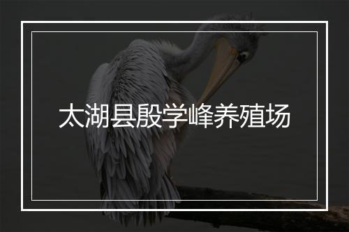 太湖县殷学峰养殖场