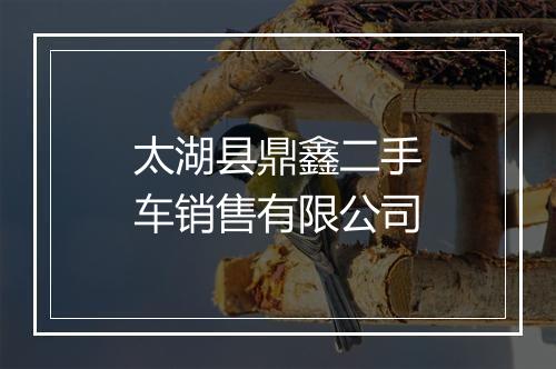 太湖县鼎鑫二手车销售有限公司