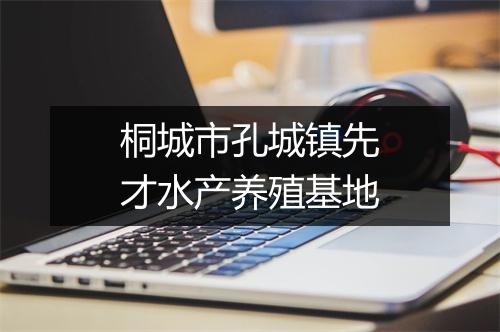 桐城市孔城镇先才水产养殖基地