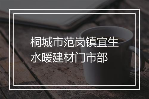 桐城市范岗镇宜生水暖建材门市部