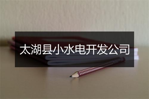太湖县小水电开发公司