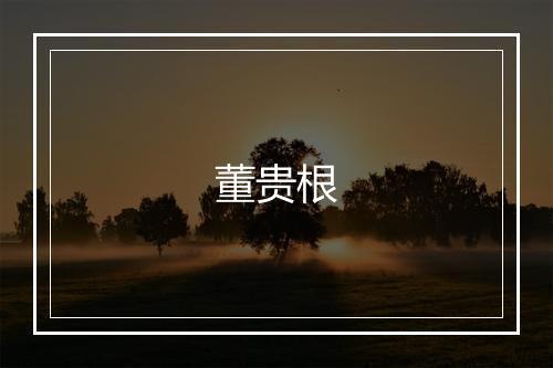 董贵根