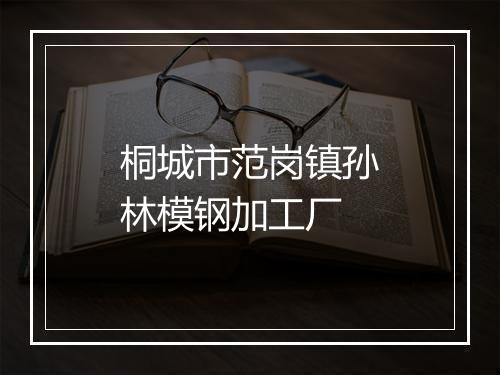 桐城市范岗镇孙林模钢加工厂