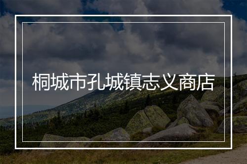 桐城市孔城镇志义商店