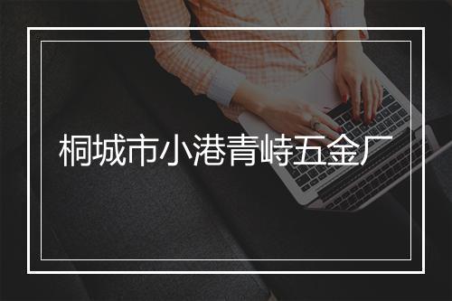 桐城市小港青峙五金厂