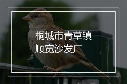 桐城市青草镇顺宽沙发厂
