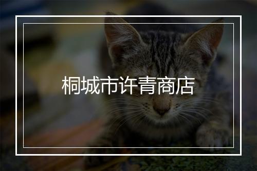 桐城市许青商店