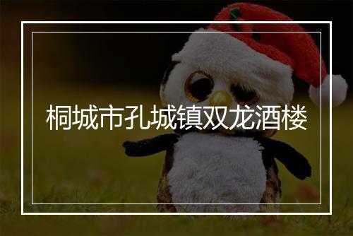 桐城市孔城镇双龙酒楼