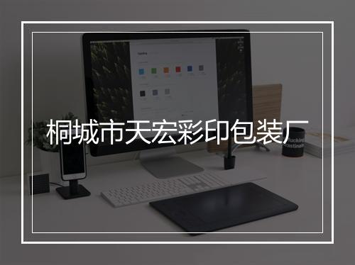 桐城市天宏彩印包装厂