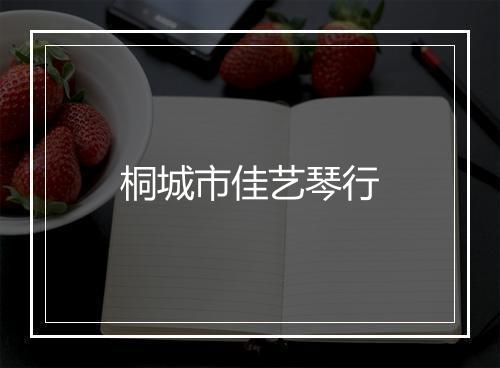 桐城市佳艺琴行