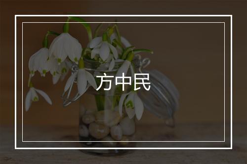 方中民