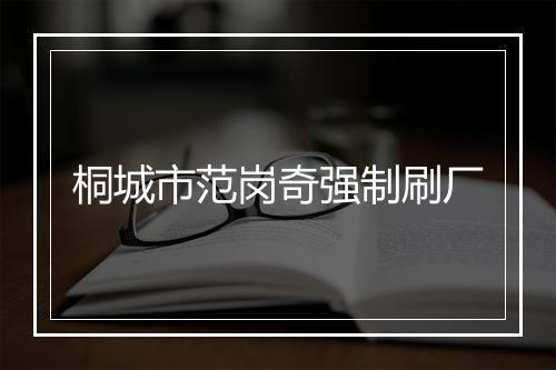 桐城市范岗奇强制刷厂
