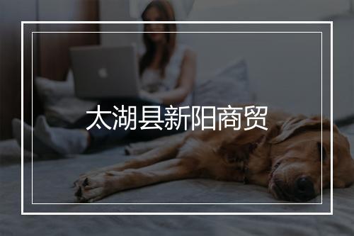 太湖县新阳商贸