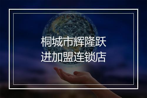 桐城市辉隆跃进加盟连锁店