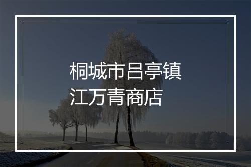 桐城市吕亭镇江万青商店