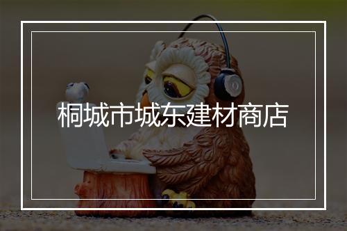 桐城市城东建材商店