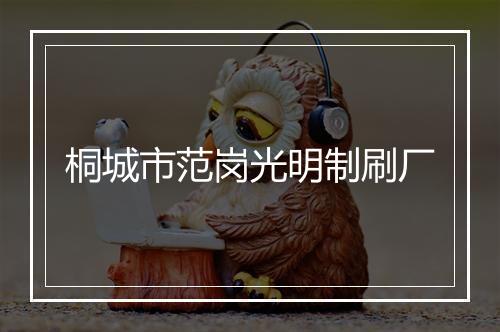 桐城市范岗光明制刷厂