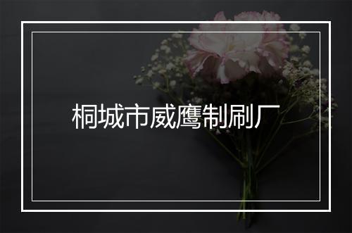 桐城市威鹰制刷厂