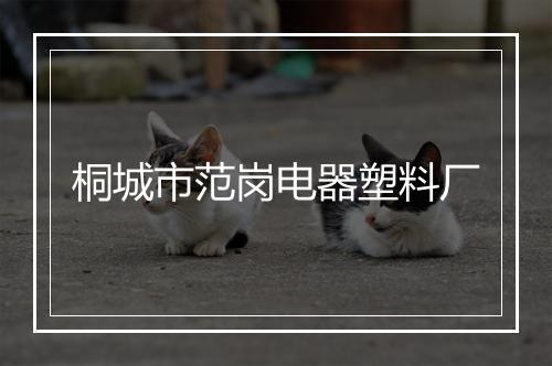 桐城市范岗电器塑料厂