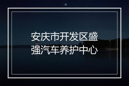 安庆市开发区盛强汽车养护中心