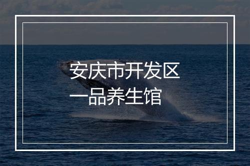 安庆市开发区一品养生馆