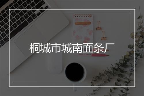 桐城市城南面条厂