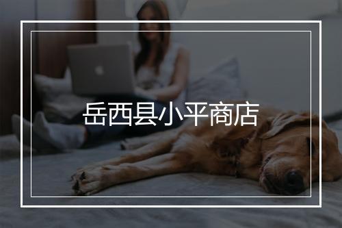 岳西县小平商店