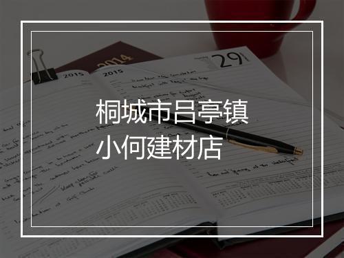 桐城市吕亭镇小何建材店